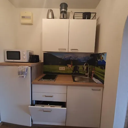 아파트 Am Steinbrecherhof *