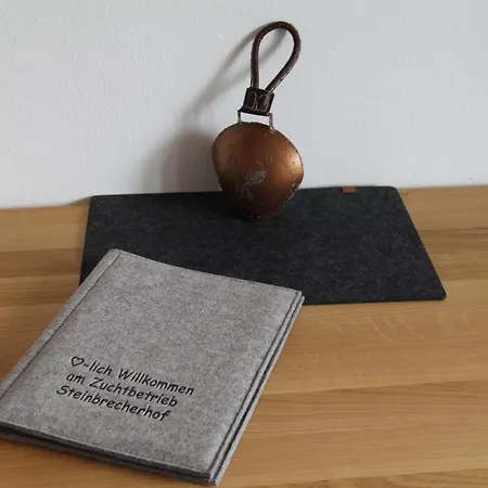 Am Steinbrecherhof 아파트 *